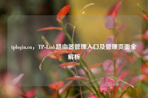 tplogin.cn，TP-Link路由器管理入口及管理页面全解析
