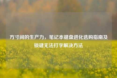 方寸间的生产力,笔记本键盘进化选购指南及锁键无法打字解决方法