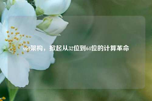 x64架构，掀起从32位到64位的计算革命