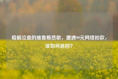 暗箭泣血的维鲁斯悲歌,遭遇99元网络扣款,该如何追回?