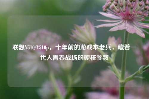 联想Y510/Y510p,十年前的游戏本老兵,藏着一代人青春战场的硬核参数
