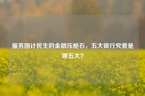 服务国计民生的金融压舱石，五大银行究竟是哪五大？