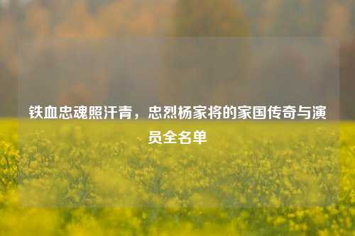 铁血忠魂照汗青，忠烈杨家将的家国传奇与演员全名单