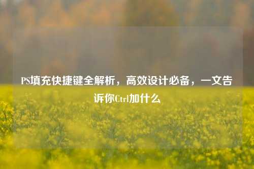 PS填充快捷键全解析,高效设计必备,一文告诉你Ctrl加什么