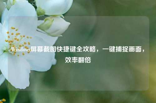 Windows屏幕截图快捷键全攻略，一键捕捉画面，效率翻倍