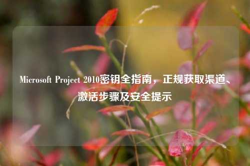 Microsoft Project 2010密钥全指南,正规获取渠道、激活步骤及安全提示