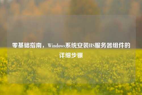 零基础指南,Windows系统安装IIS服务器组件的详细步骤