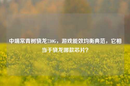 中端常青树骁龙730G,游戏能效均衡典范,它相当于骁龙哪款芯片?