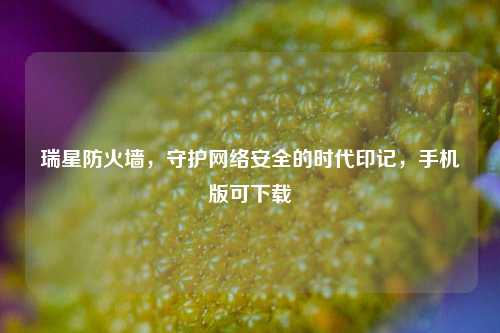 瑞星防火墙,守护网络安全的时代印记,手机版可下载