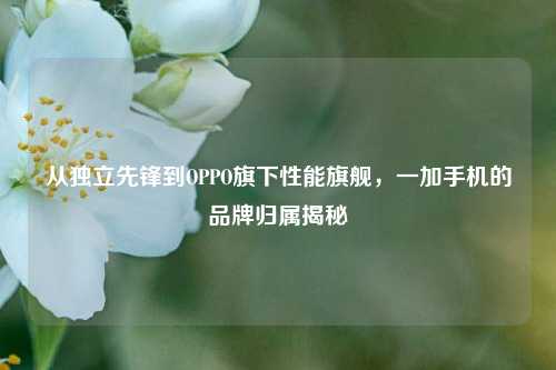 从独立先锋到OPPO旗下性能旗舰,一加手机的品牌归属揭秘