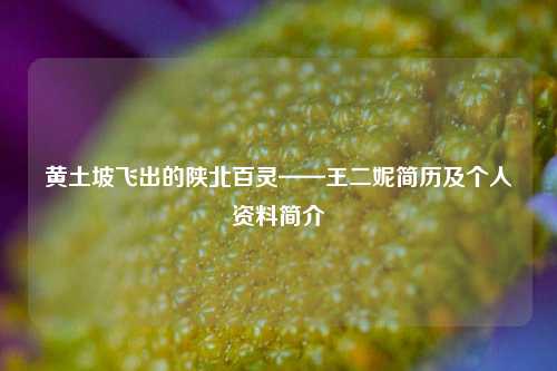 黄土坡飞出的陕北百灵——王二妮简历及个人资料简介