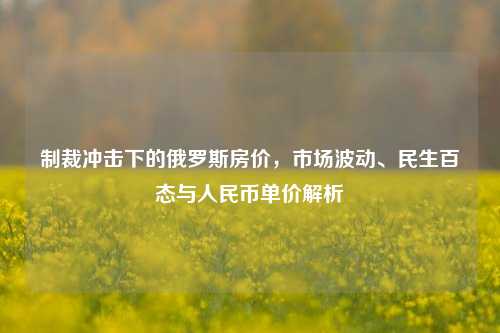 制裁冲击下的俄罗斯房价,市场波动、民生百态与人民币单价解析