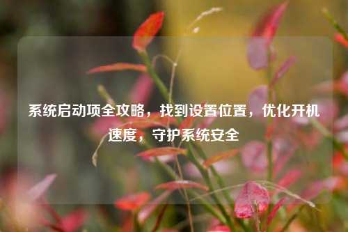 系统启动项全攻略，找到设置位置，优化开机速度，守护系统安全