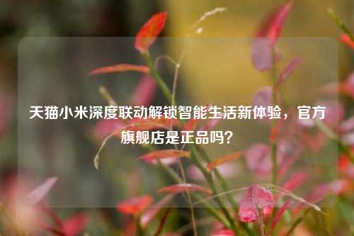 天猫小米深度联动解锁智能生活新体验，官方旗舰店是正品吗？