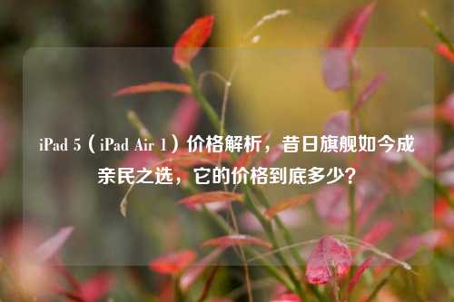 iPad 5（iPad Air 1）价格解析，昔日旗舰如今成亲民之选，它的价格到底多少？