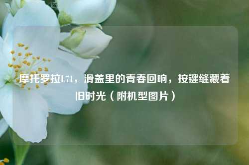 摩托罗拉L71，滑盖里的青春回响，按键缝藏着旧时光（附机型图片）