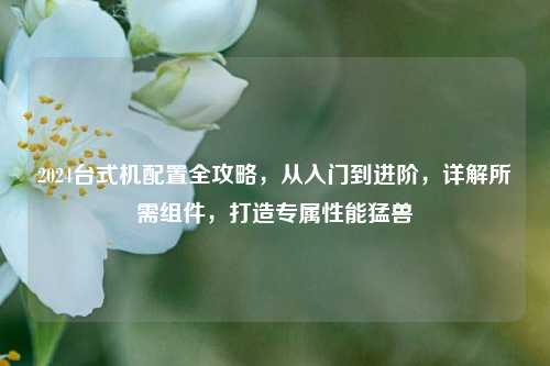 2024台式机配置全攻略，从入门到进阶，详解所需组件，打造专属性能猛兽