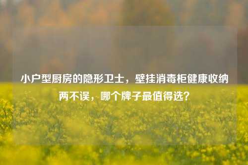小户型厨房的隐形卫士,壁挂消毒柜健康收纳两不误,哪个牌子最值得选?