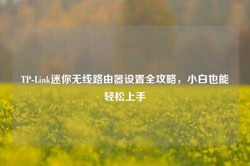 TP-Link迷你无线路由器设置全攻略，小白也能轻松上手
