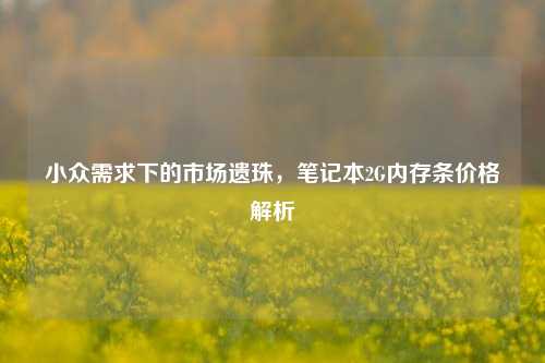 小众需求下的市场遗珠，笔记本2G内存条价格解析