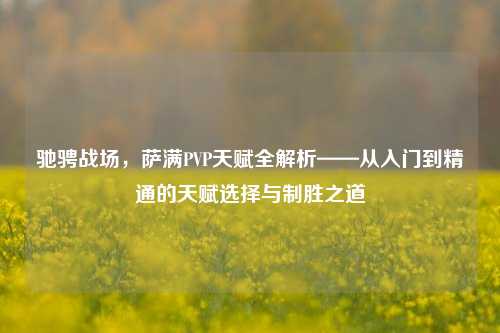 驰骋战场，萨满PVP天赋全解析——从入门到精通的天赋选择与制胜之道