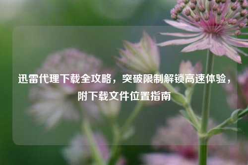 迅雷代理下载全攻略，突破限制解锁高速体验，附下载文件位置指南
