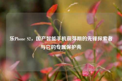 乐Phone S2，国产智能手机萌芽期的先锋探索者与它的专属保护壳