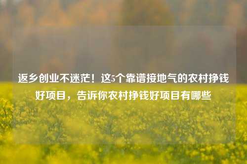 返乡创业不迷茫!这5个靠谱接地气的农村挣钱好项目,告诉你农村挣钱好项目有哪些