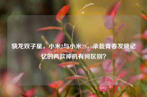 骁龙双子星，小米2与小米2S，承载青春发烧记忆的两款神机有何区别？