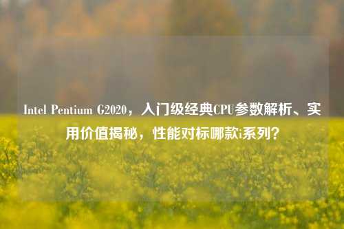 Intel Pentium G2020，入门级经典CPU参数解析、实用价值揭秘，性能对标哪款i系列？