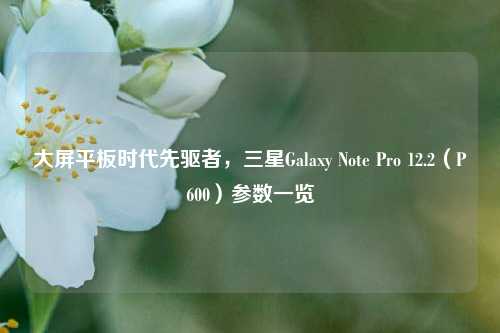 大屏平板时代先驱者，三星Galaxy Note Pro 12.2（P600）参数一览