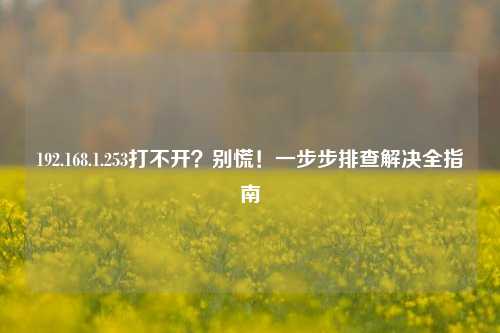 192.168.1.253打不开？别慌！一步步排查解决全指南