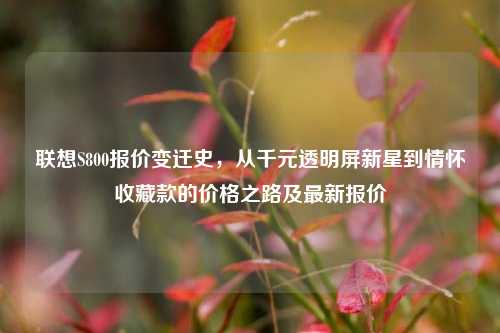 联想S800报价变迁史，从千元透明屏新星到情怀收藏款的价格之路及最新报价