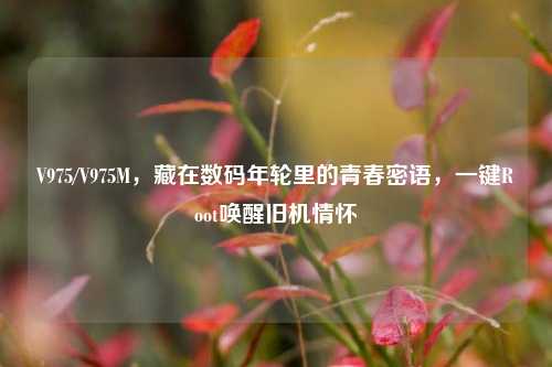 V975/V975M,藏在数码年轮里的青春密语,一键Root唤醒旧机情怀