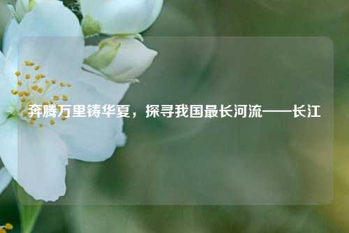 奔腾万里铸华夏，探寻我国最长河流——长江