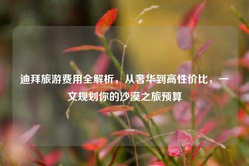 迪拜旅游费用全解析,从奢华到高性价比,一文规划你的沙漠之旅预算