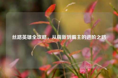丝路英雄全攻略，从萌新到霸主的进阶之路