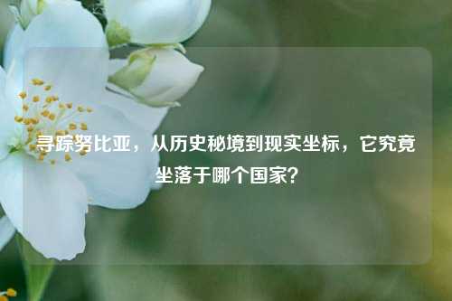 寻踪努比亚，从历史秘境到现实坐标，它究竟坐落于哪个国家？