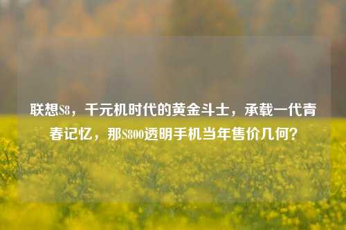联想S8，千元机时代的黄金斗士，承载一代青春记忆，那S800透明手机当年售价几何？