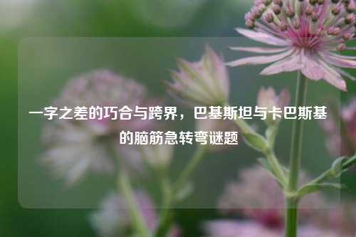 一字之差的巧合与跨界，巴基斯坦与卡巴斯基的脑筋急转弯谜题