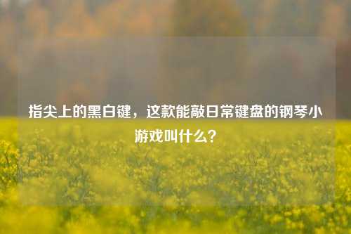 指尖上的黑白键，这款能敲日常键盘的钢琴小游戏叫什么？