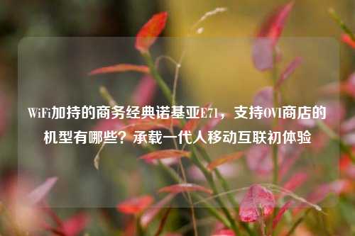 WiFi加持的商务经典诺基亚E71,支持OVI商店的机型有哪些?承载一代人移动互联初体验