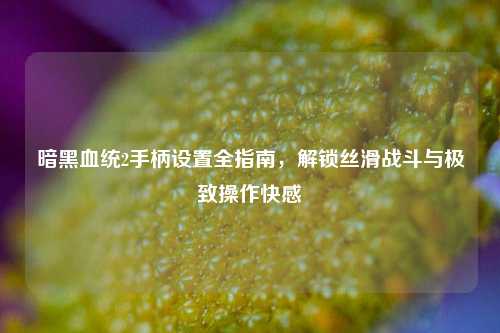 暗黑血统2手柄设置全指南,解锁丝滑战斗与极致操作快感