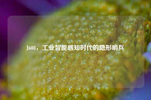 J608,工业智能感知时代的隐形哨兵