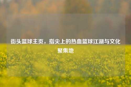 街头篮球主页，指尖上的热血篮球江湖与文化聚集地