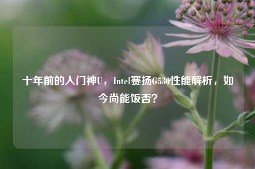 十年前的入门神U,Intel赛扬G530性能解析,如今尚能饭否?