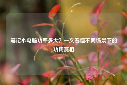 笔记本电脑功率多大？一文看懂不同场景下的功耗真相