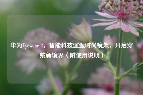 华为Eyewear 2，智能科技邂逅时尚镜架，开启穿戴新境界（附使用说明）