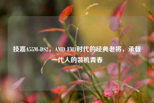 技嘉A55M-DS2，AMD FM1时代的经典老将，承载一代人的装机青春