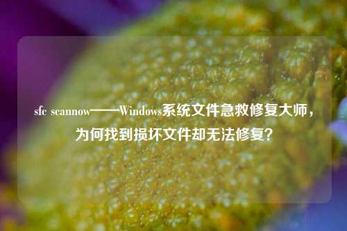 sfc scannow——Windows系统文件急救修复大师,为何找到损坏文件却无法修复?